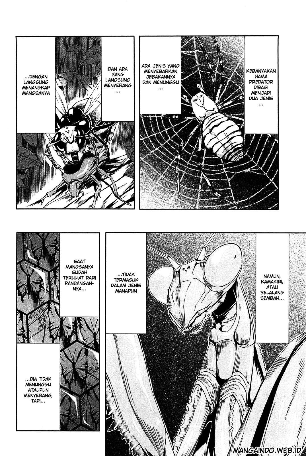 Arachnid Chapter 06 Image 34