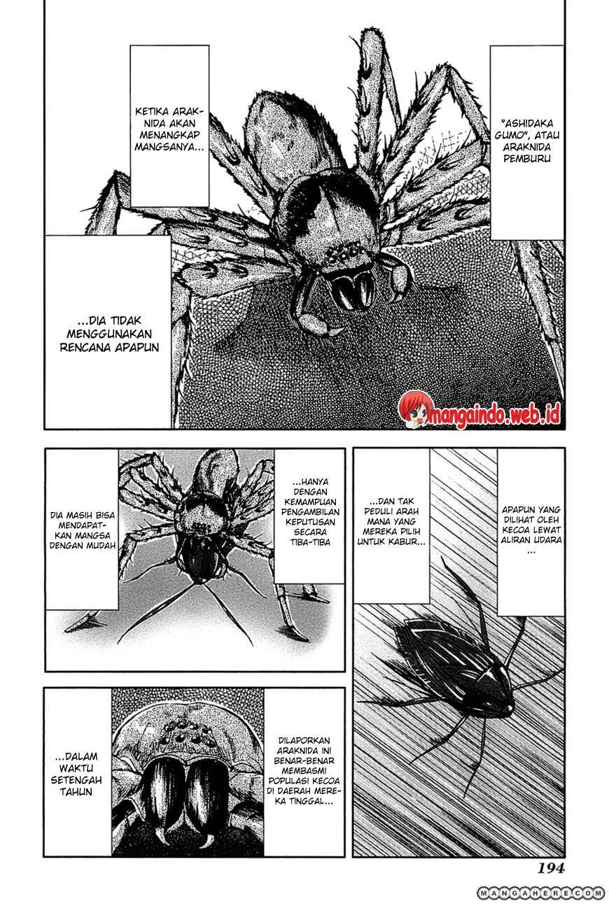 Arachnid Chapter 10 Image 22