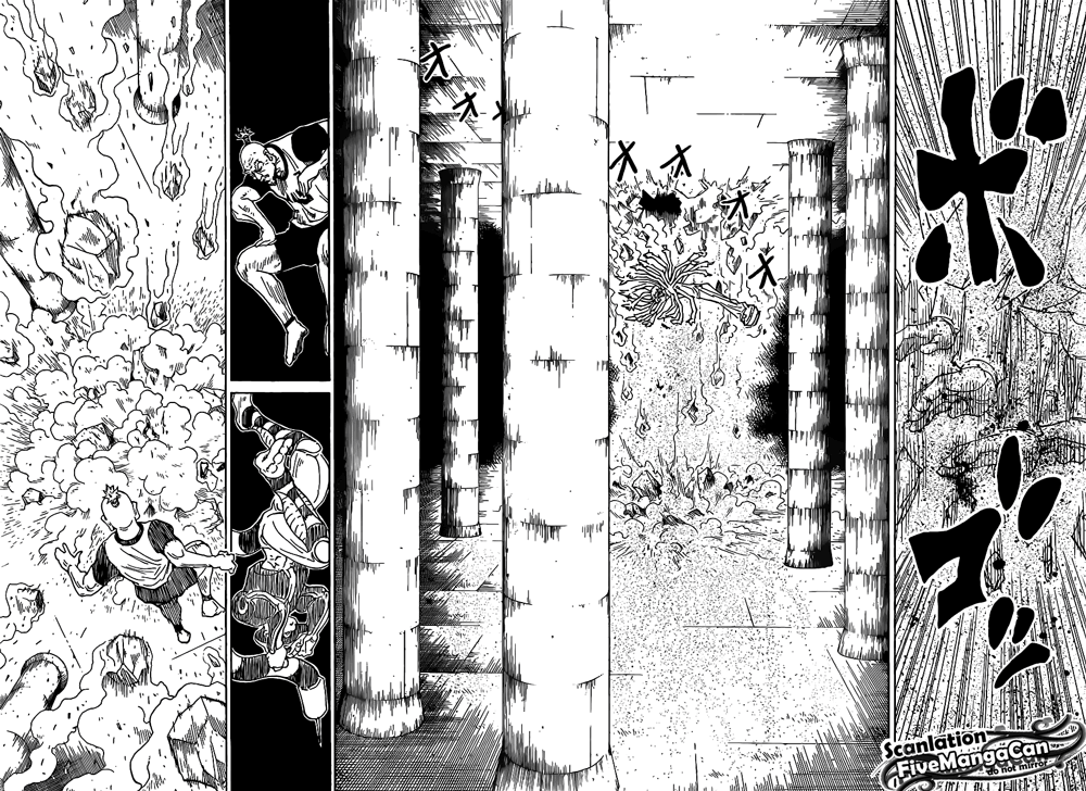 Hunter x Hunter Chapter 291 Image 13