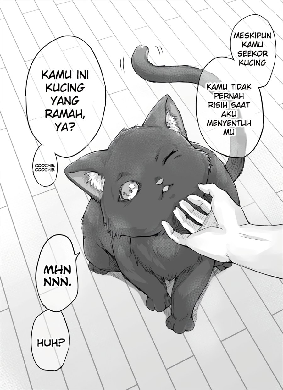 The Yandere Pet Cat is Overly Domineering Chapter 02 Image 1