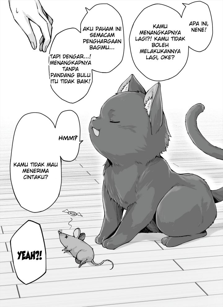 The Yandere Pet Cat is Overly Domineering Chapter 05 Image 1