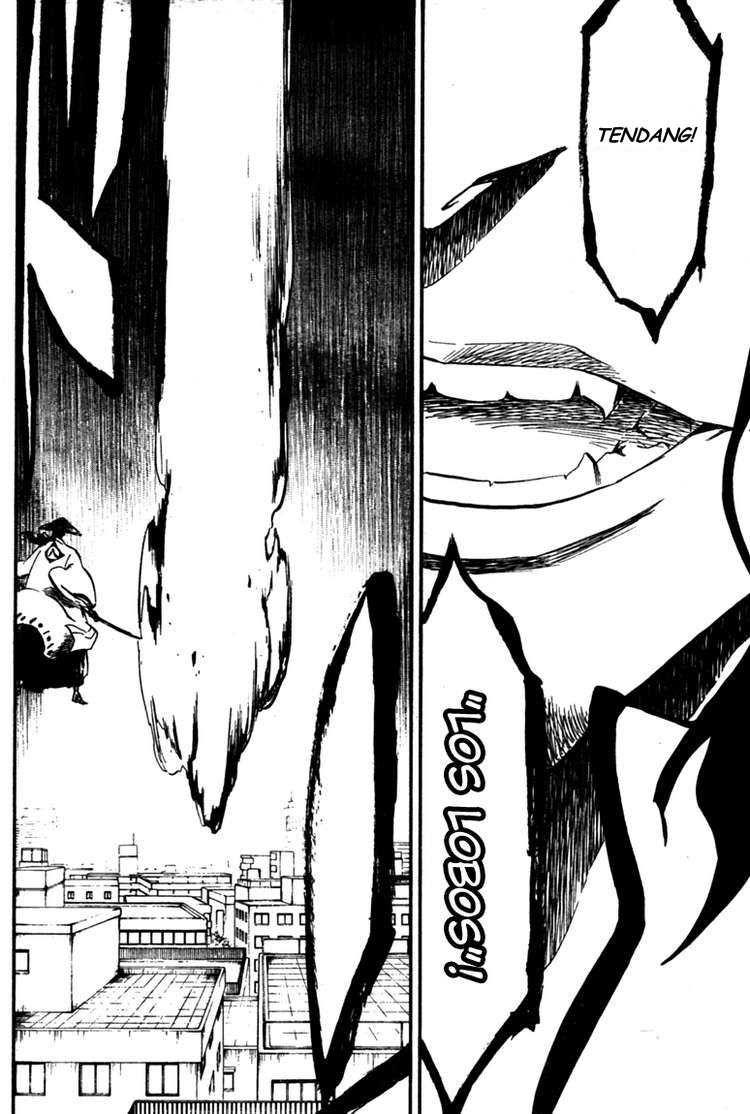 Bleach Chapter 361 Image 15