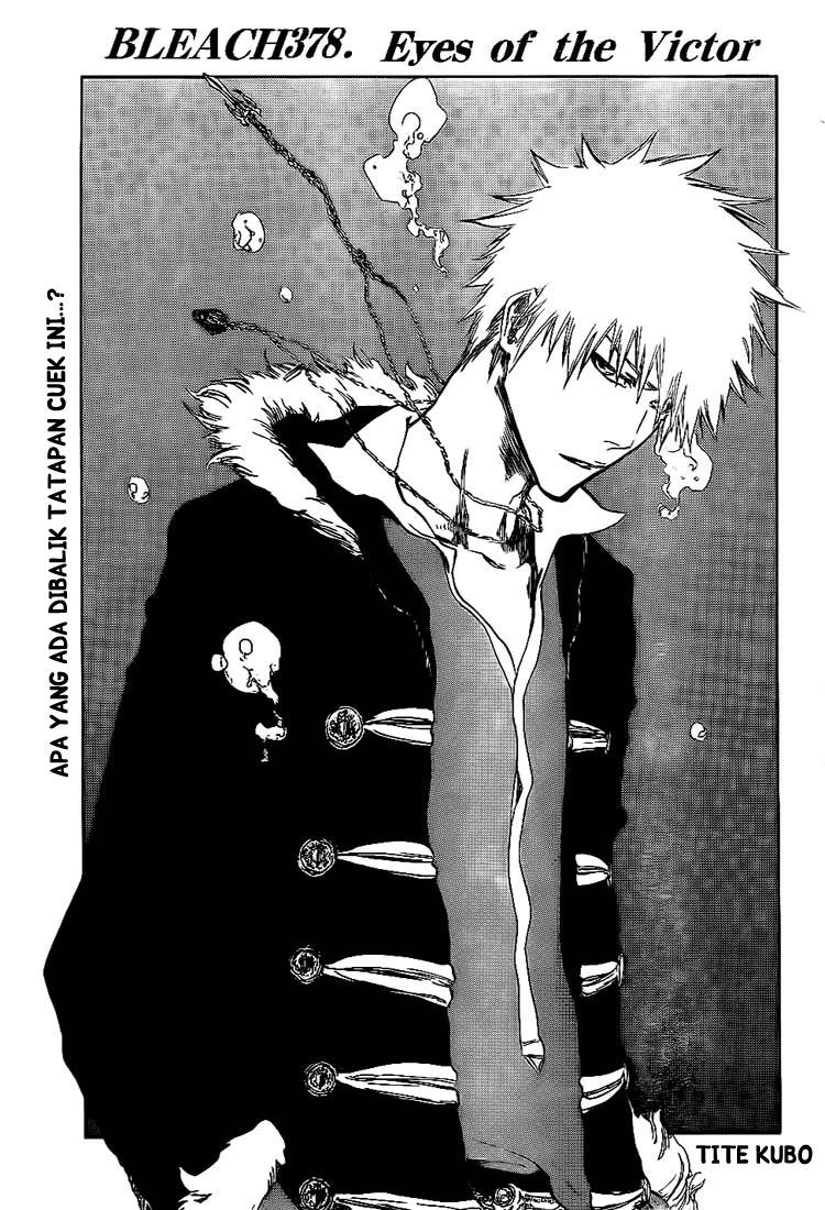 Bleach Chapter 378 Image 9