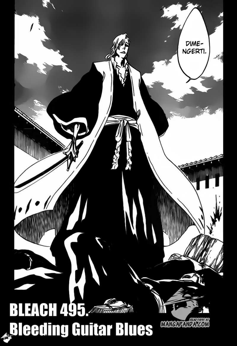 Bleach Chapter 495 Image 3