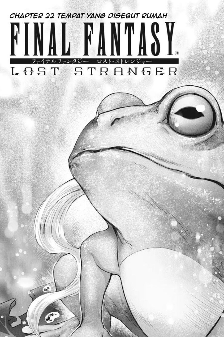 Final Fantasy: Lost Stranger Chapter 22 Image 1