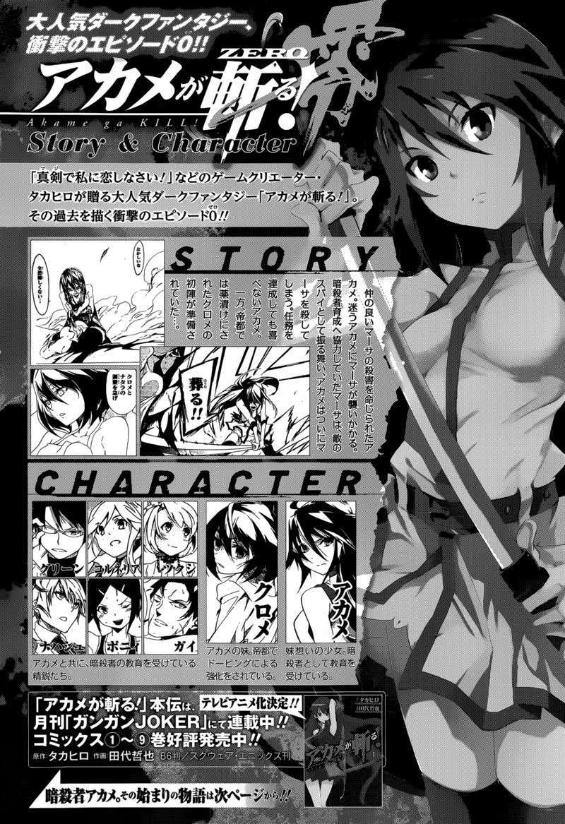 Akame ga Kiru! Zero Chapter 5 Image 2