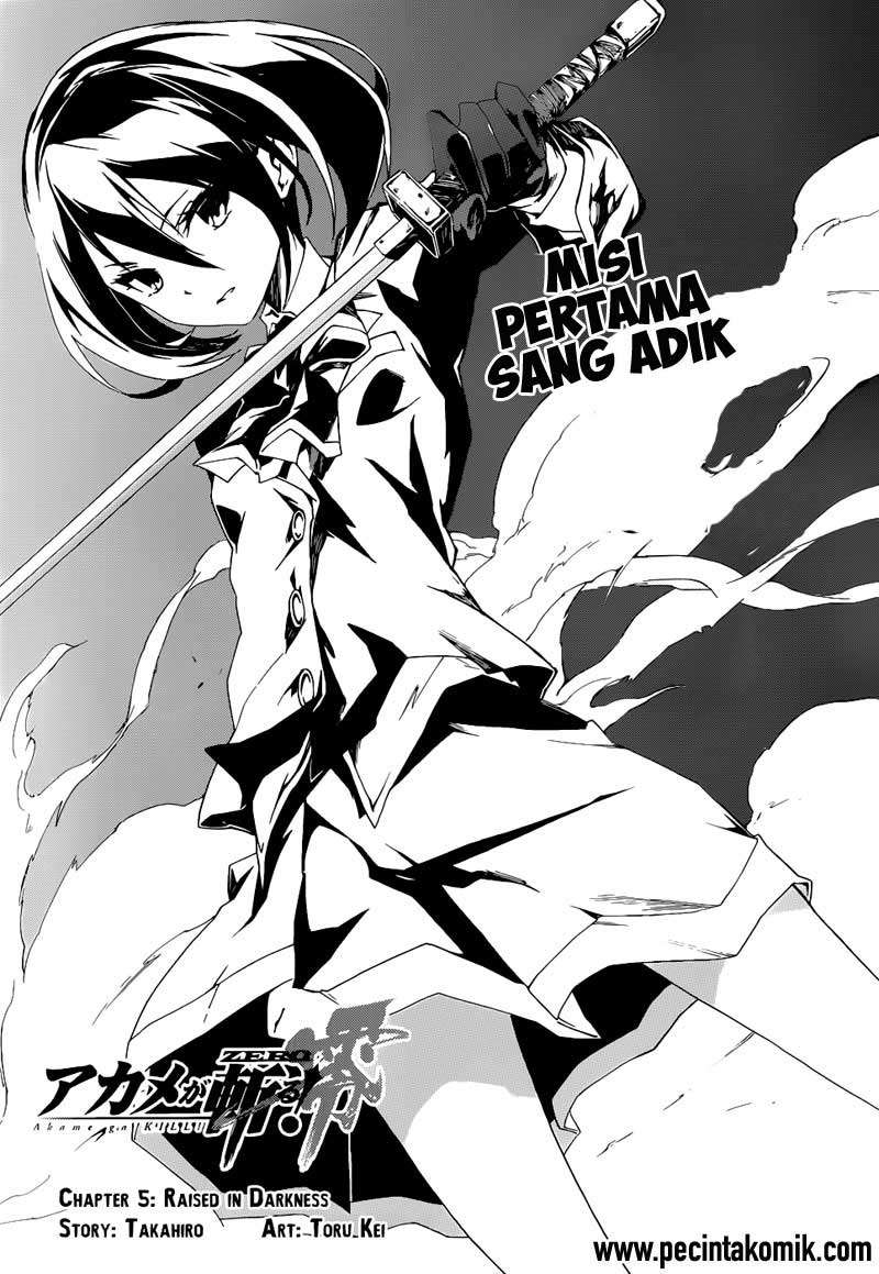 Akame ga Kiru! Zero Chapter 5 Image 3