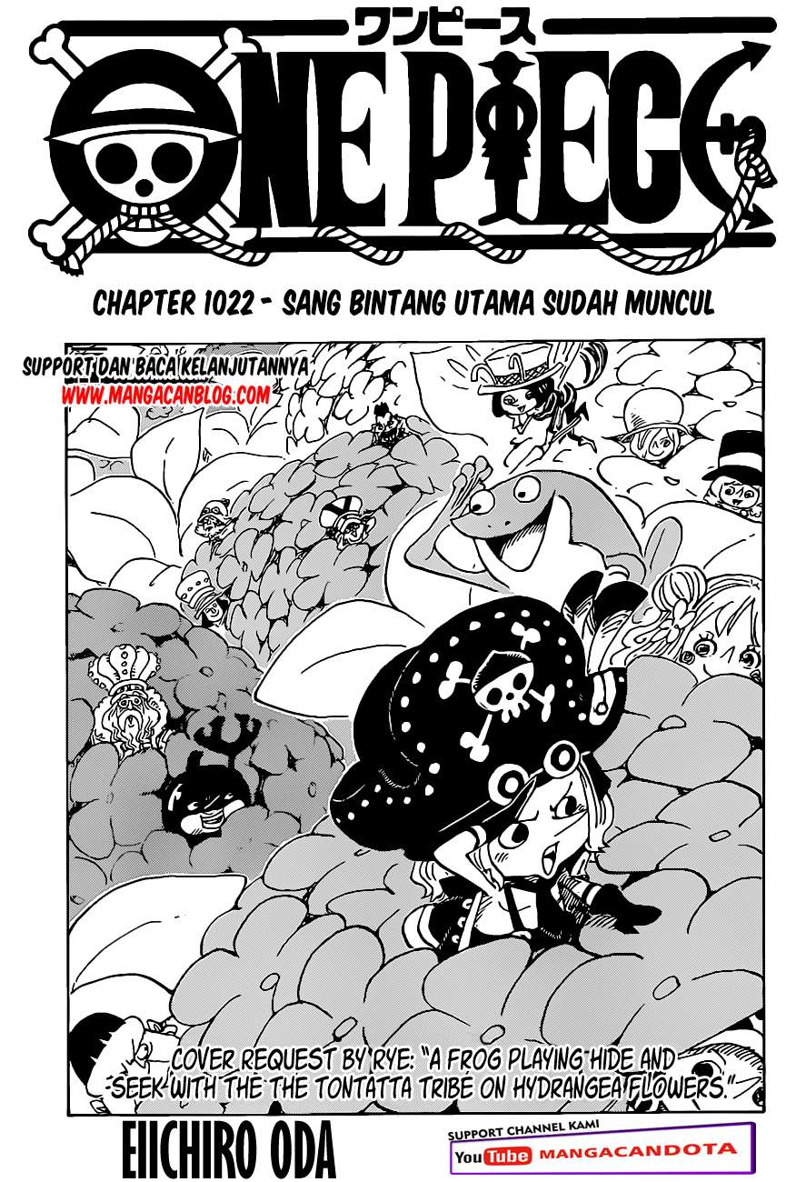 One Piece Chapter 1022 HQ Image 0