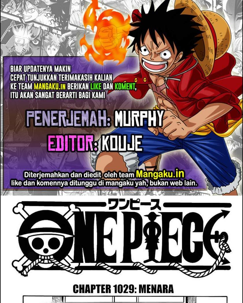 One Piece Chapter 1029 HQ Image 0