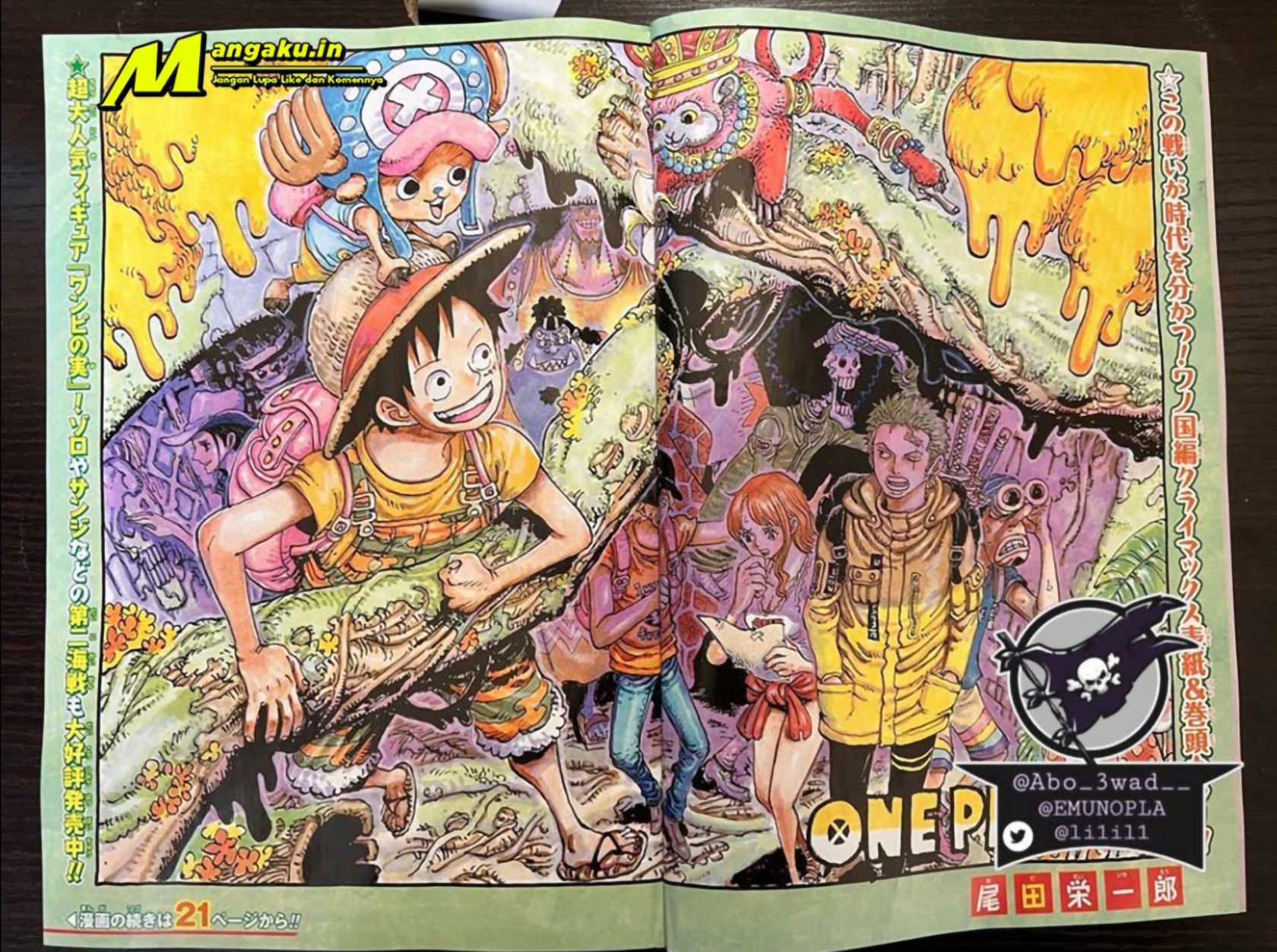 One Piece Chapter 1039 LQ Image 1