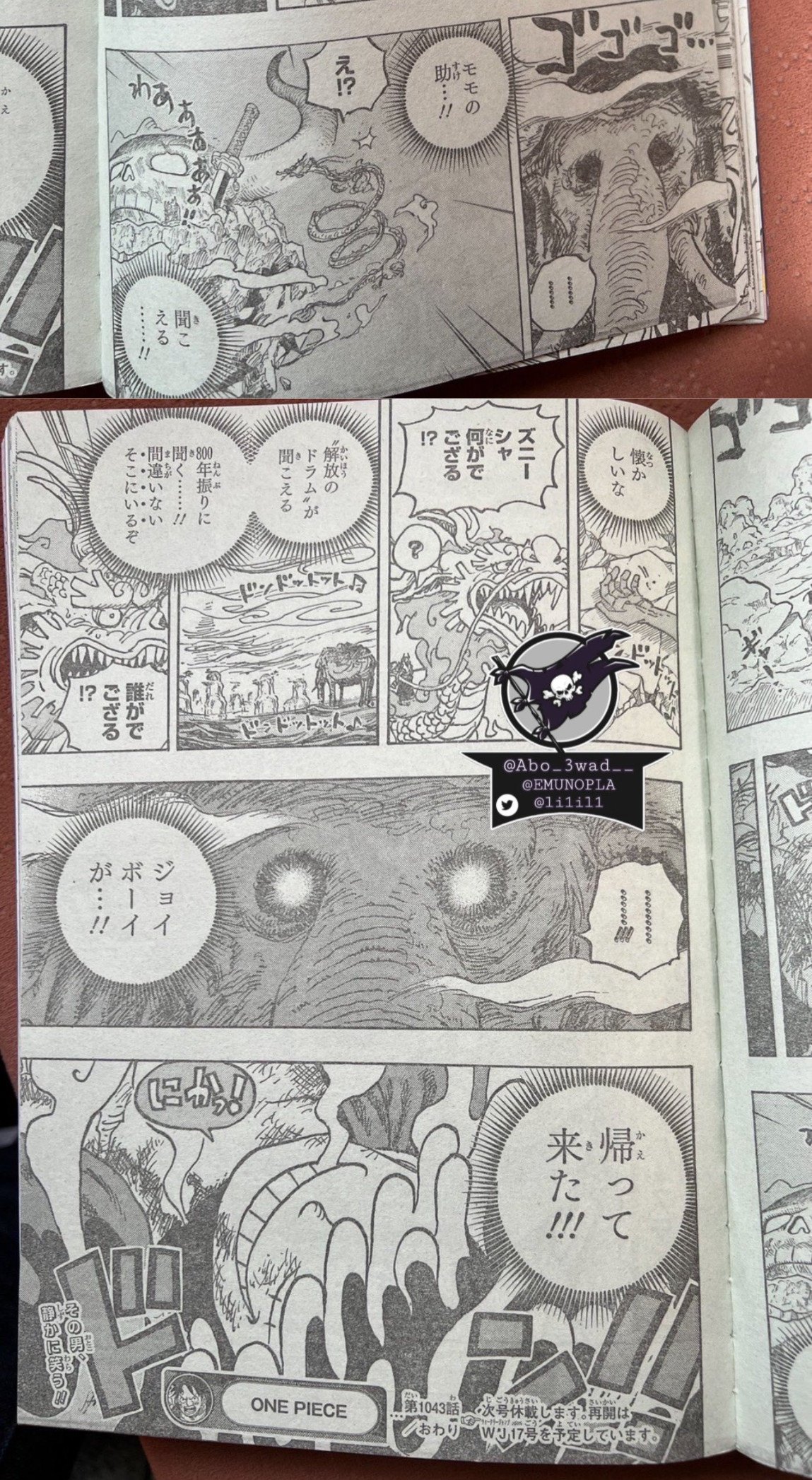 One Piece Chapter 1043 lq Image 7