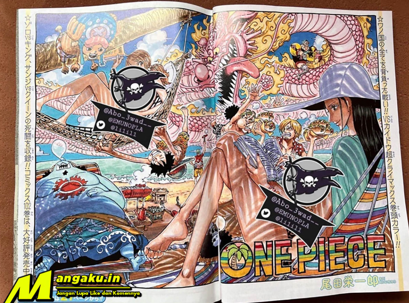 One Piece Chapter 1047 lq Image 1