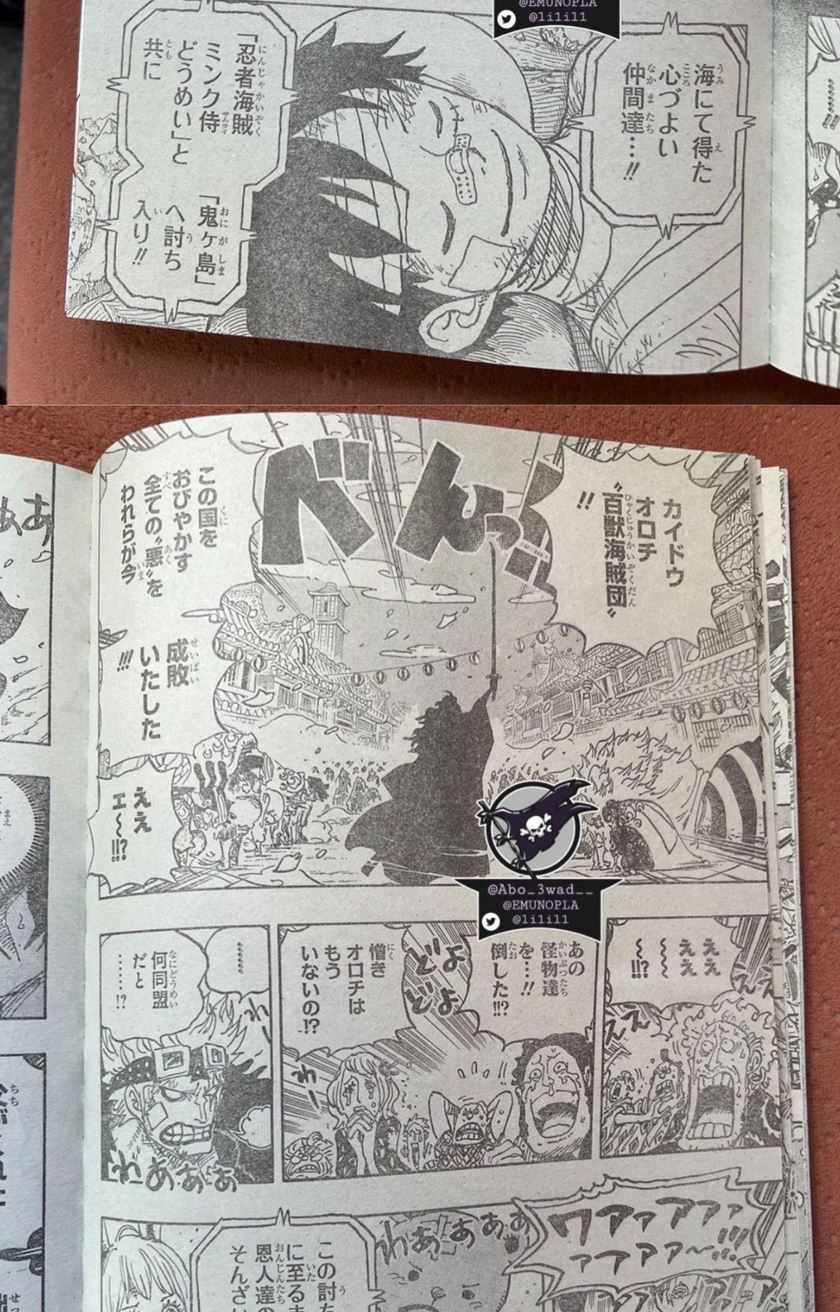 One Piece Chapter 1051 LQ Image 7