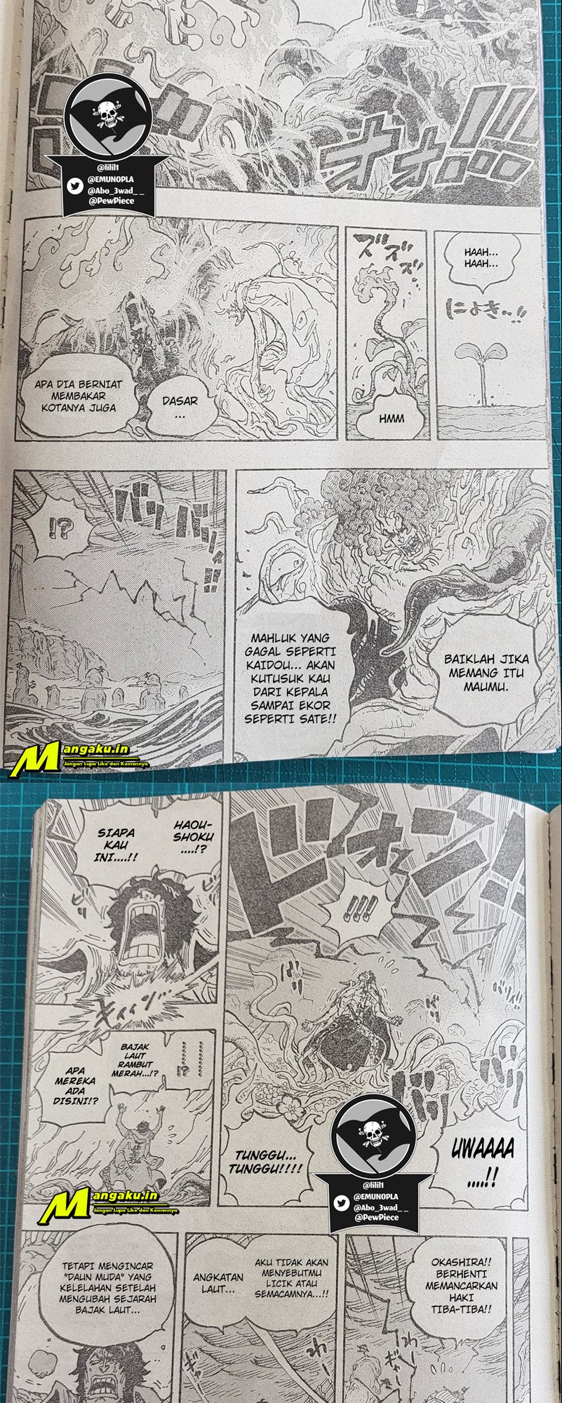 One Piece Chapter 1055 LQ Image 7