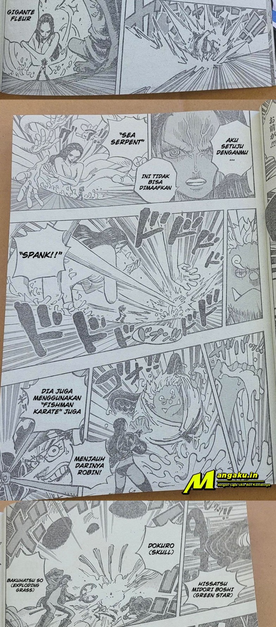 One Piece Chapter 1065 LQ Image 6