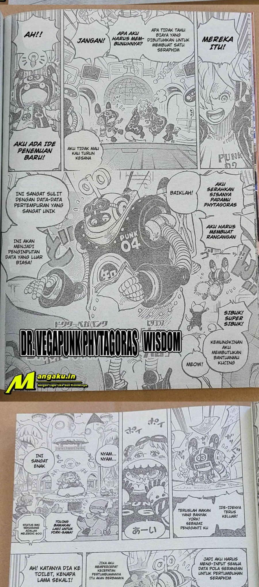 One Piece Chapter 1065 LQ Image 8
