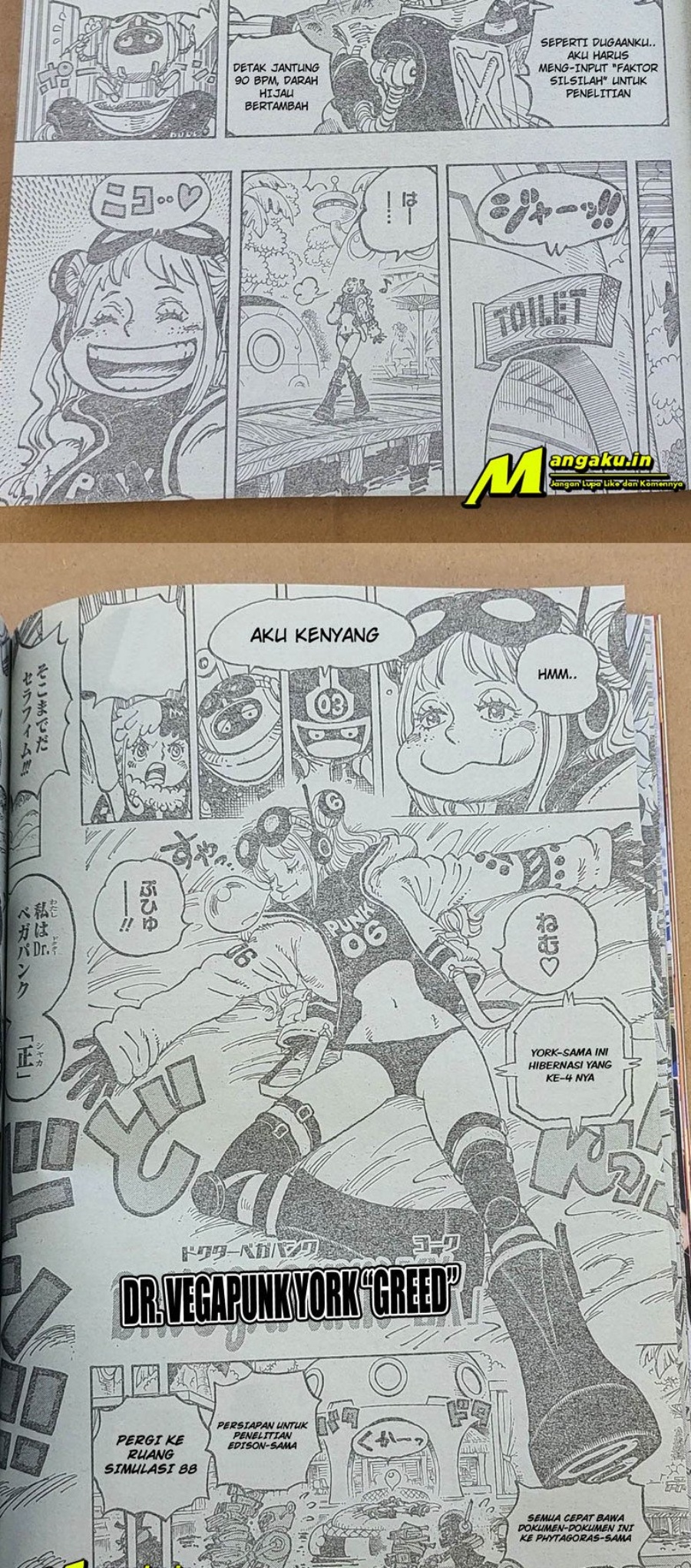 One Piece Chapter 1065 LQ Image 9