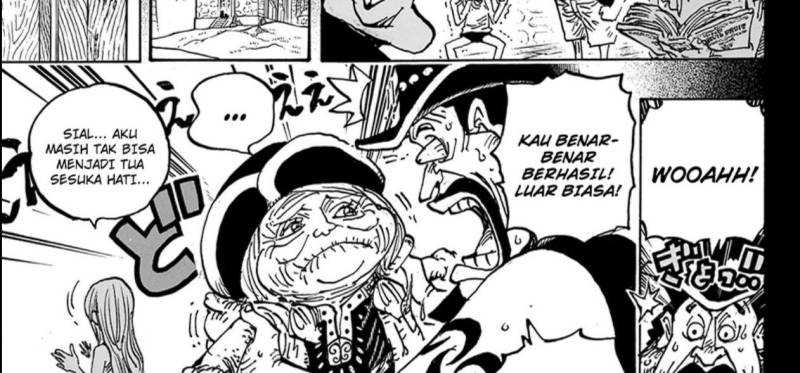 One Piece Chapter 1099 Image 16