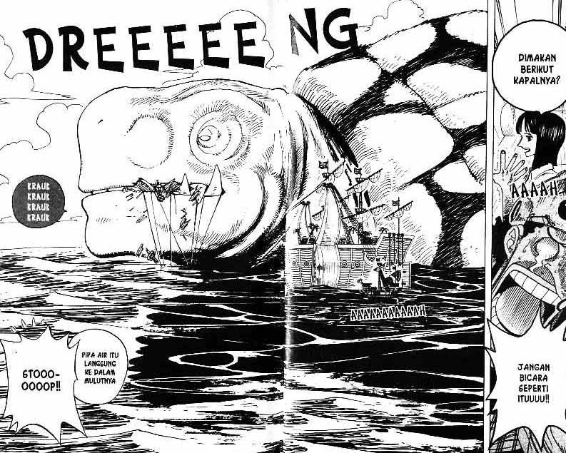 One Piece Chapter 221 Image 2
