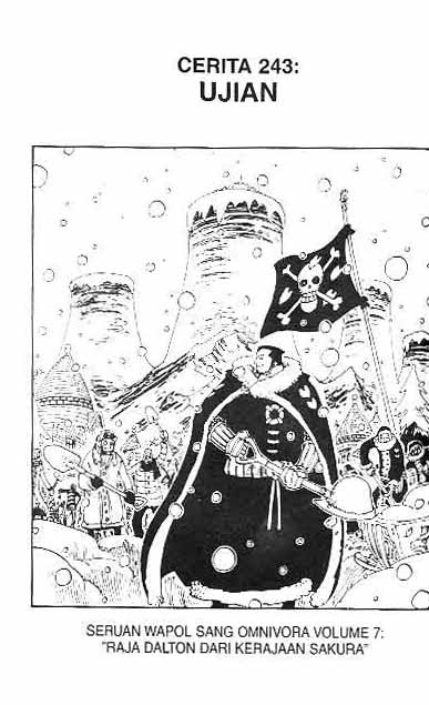 One Piece Chapter 243 Image 0