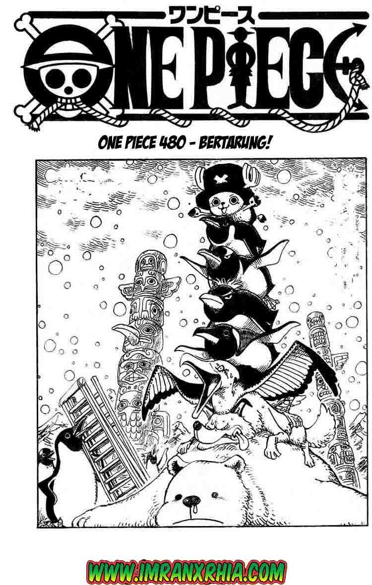 One Piece Chapter 480 Image 0