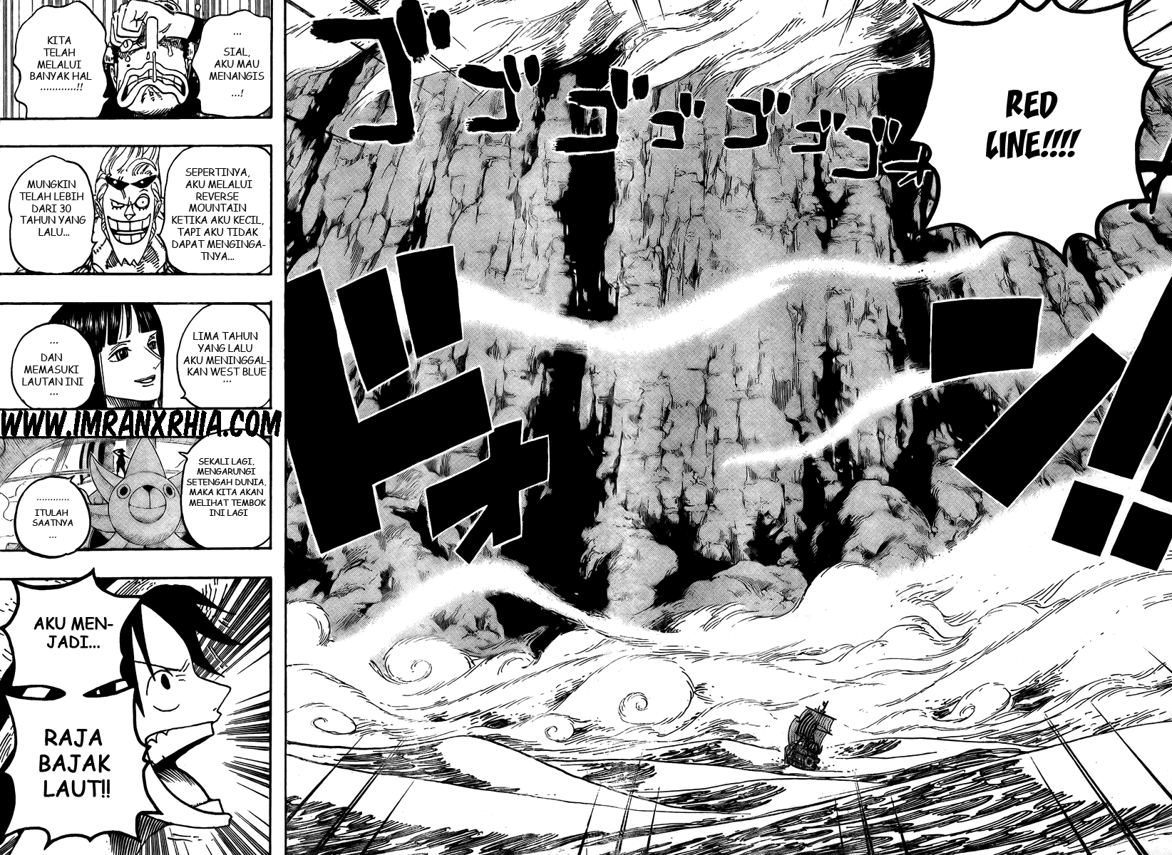 One Piece Chapter 490 Image 9