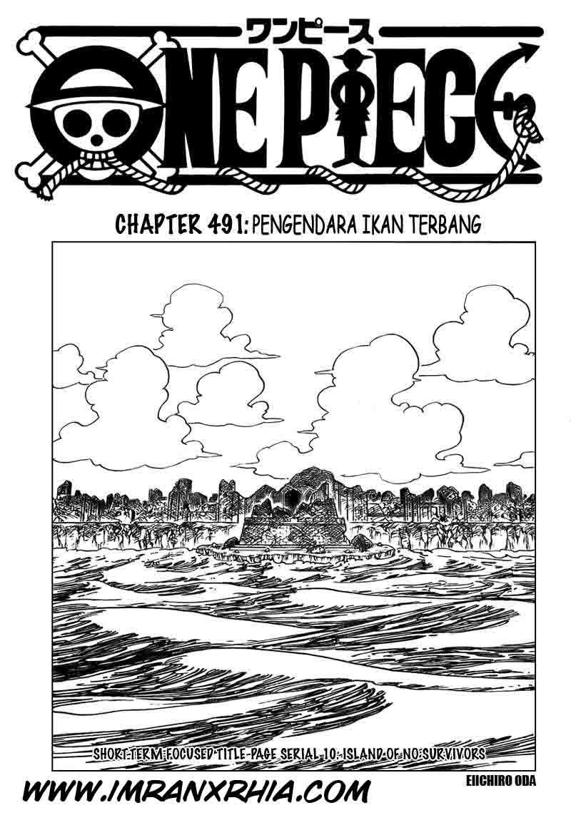 One Piece Chapter 491 Image 0