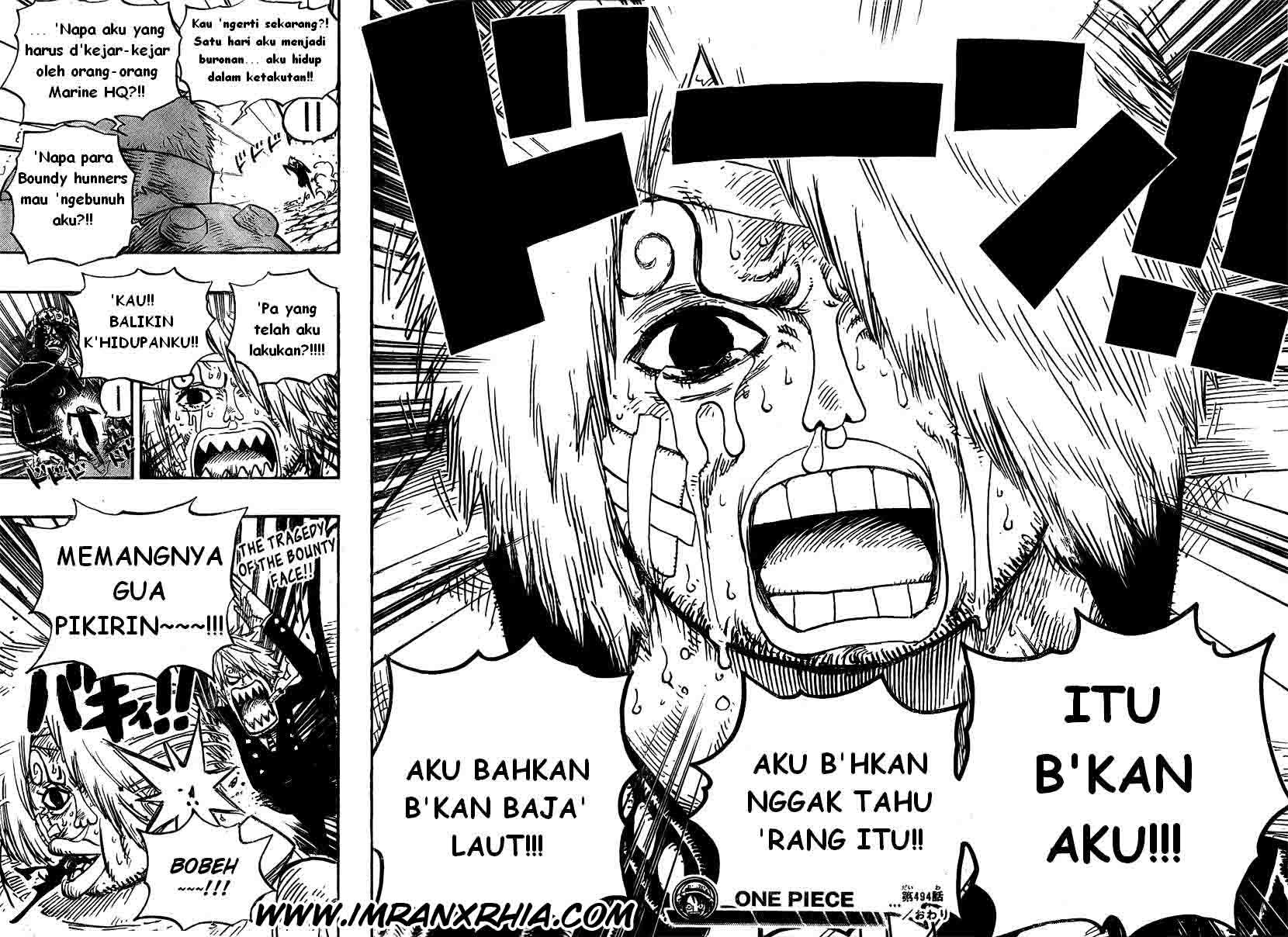 One Piece Chapter 494 Image 17