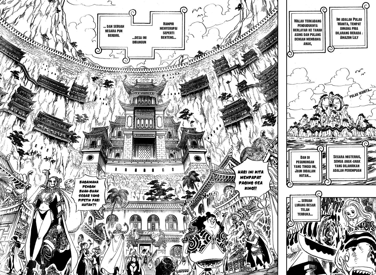 One Piece Chapter 515 Image 1