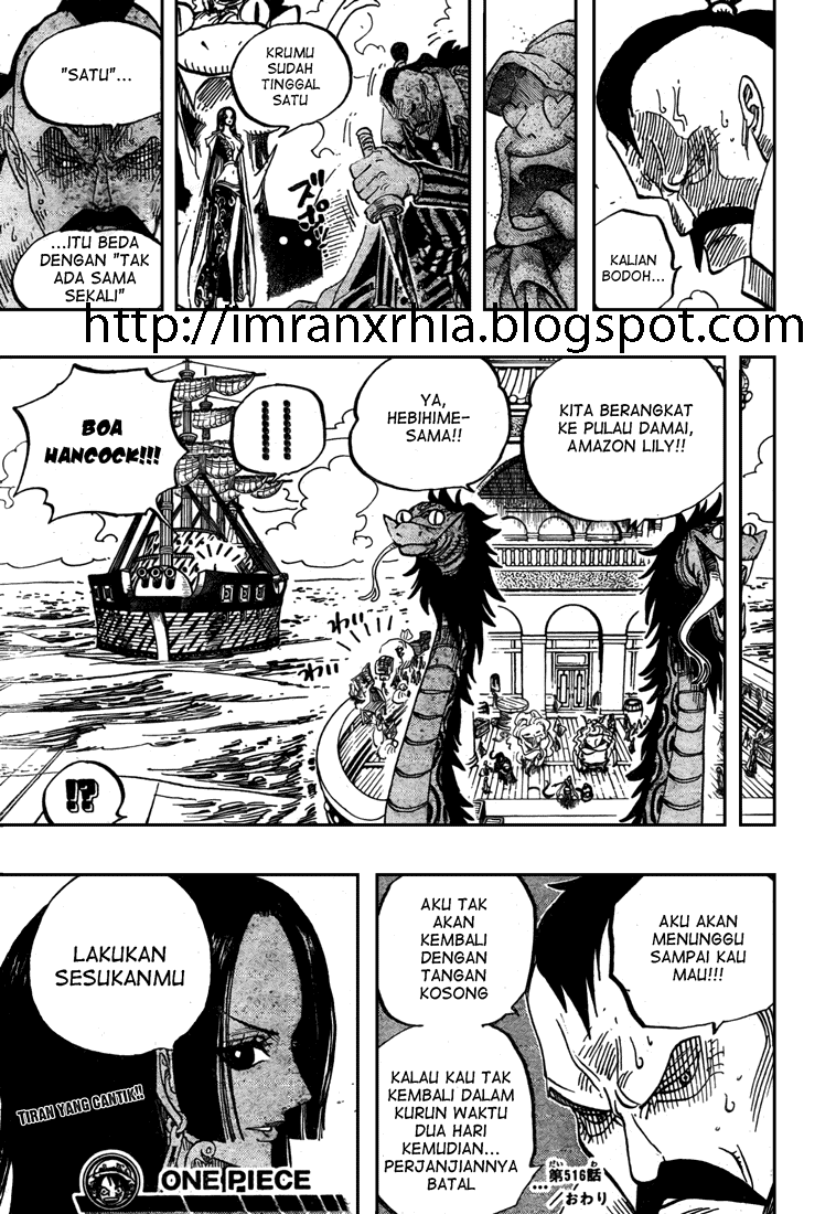 One Piece Chapter 516 Image 16