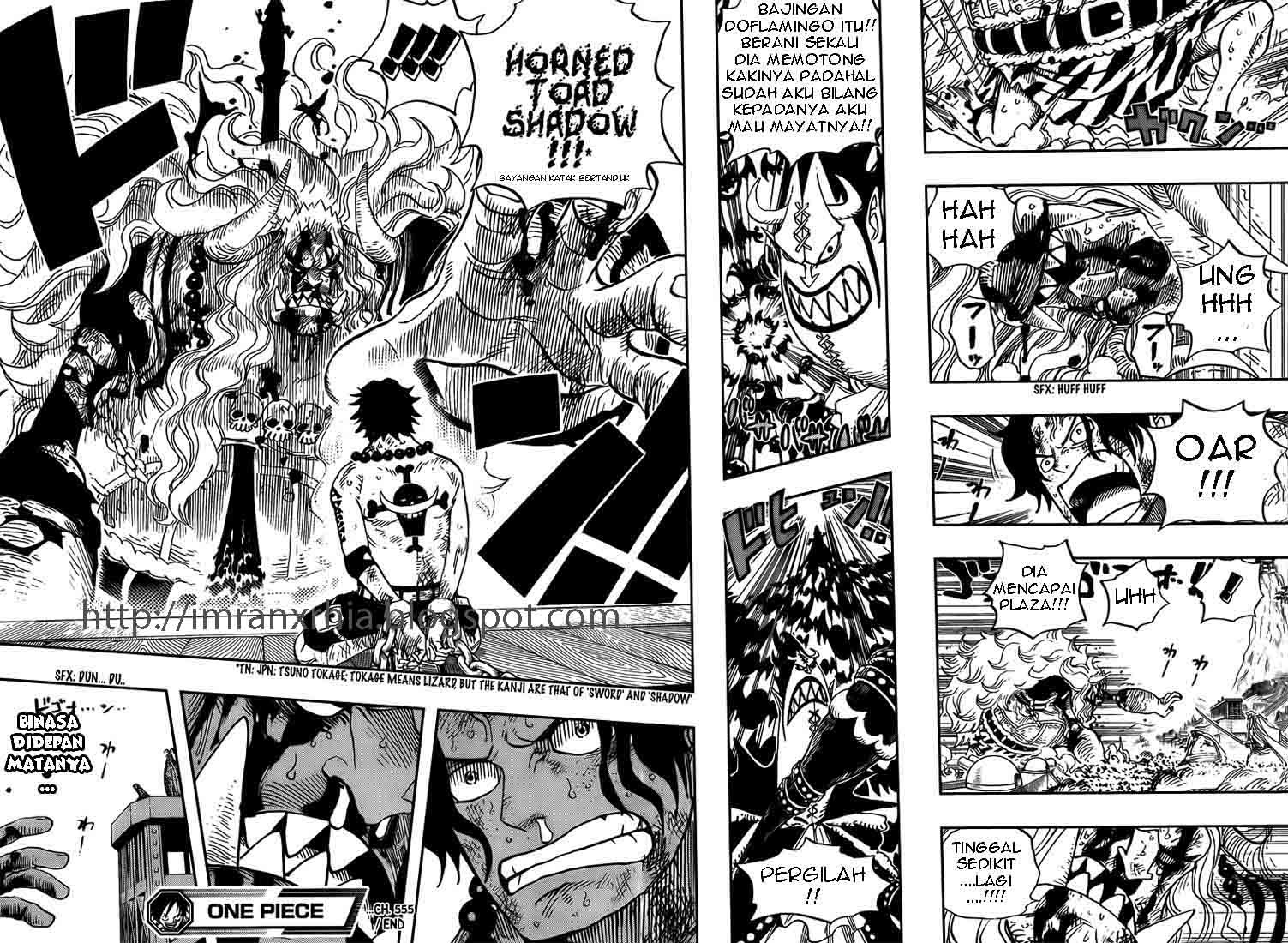 One Piece Chapter 555 Image 10