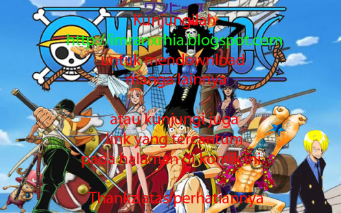 One Piece Chapter 555 Image 11