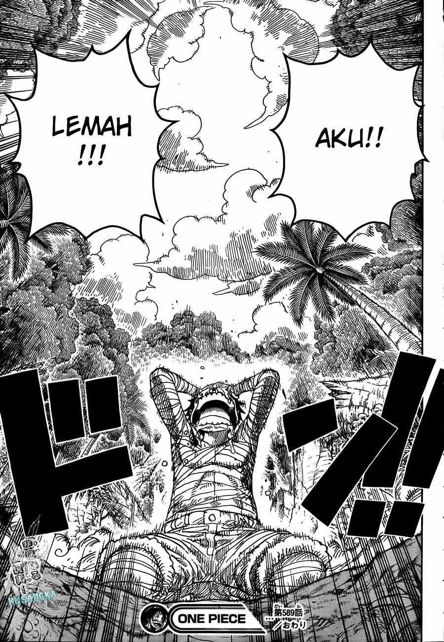 One Piece Chapter 589 Image 19