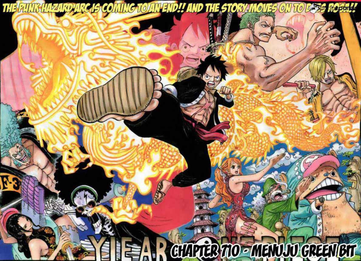 One Piece Chapter 710 Image 2