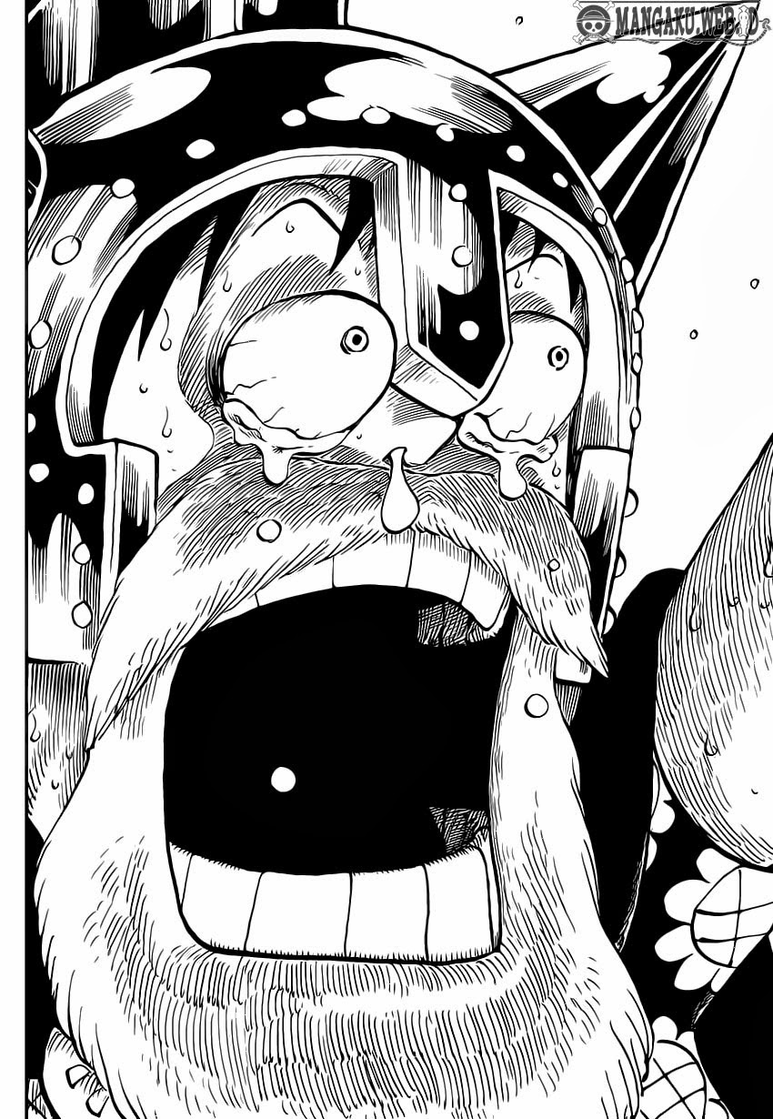 One Piece Chapter 731 Image 16