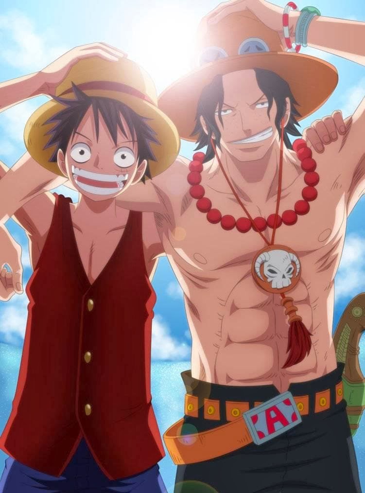 One Piece Chapter 740 Image 1
