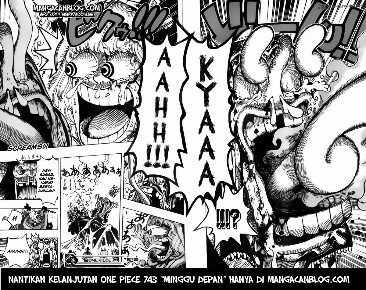 One Piece Chapter 742 Image 20