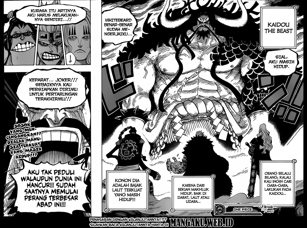 One Piece Chapter 795 Image 16