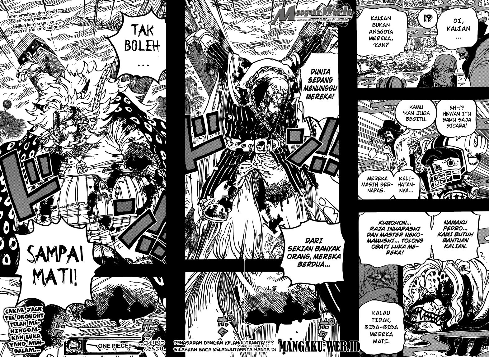 One Piece Chapter 810 – bajak laut curly hat tiba Image 19