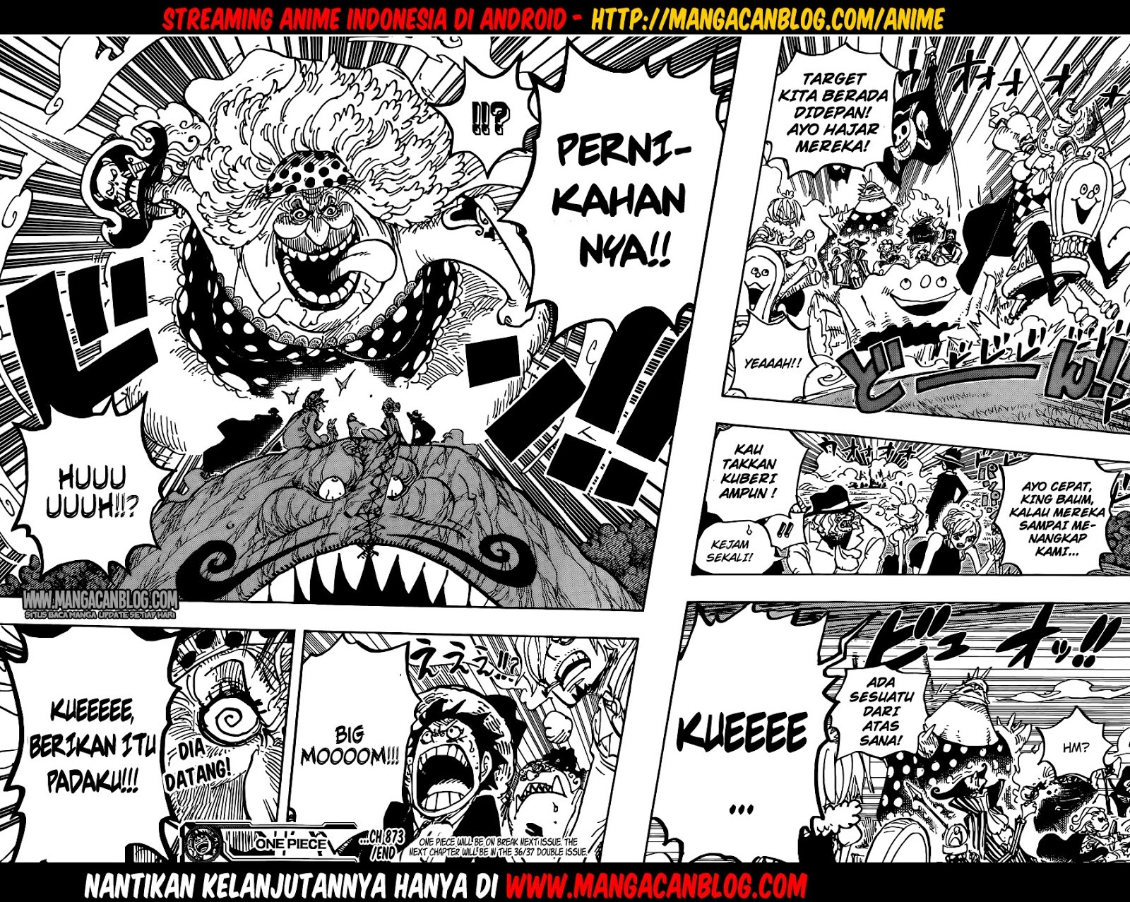 One Piece Chapter 873 Image 16