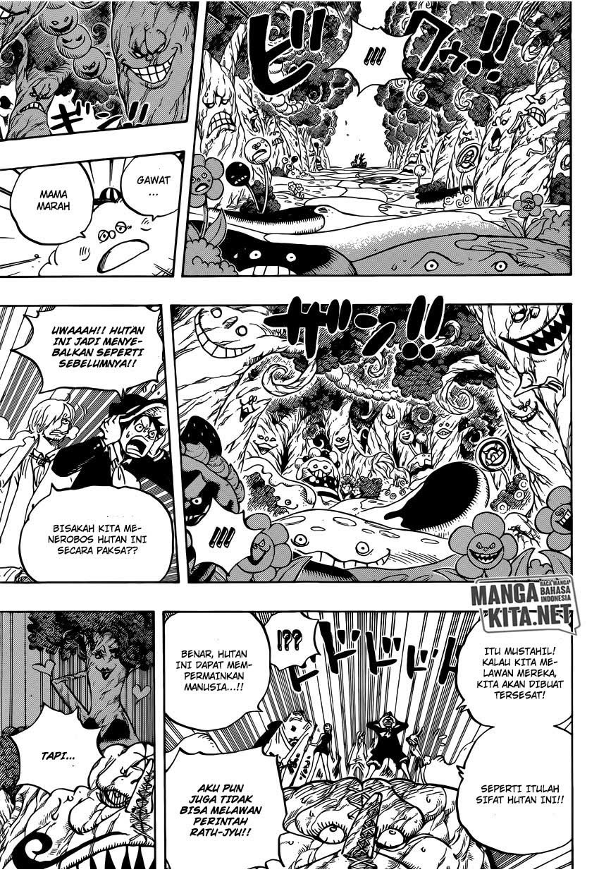 One Piece Chapter 874 Image 14