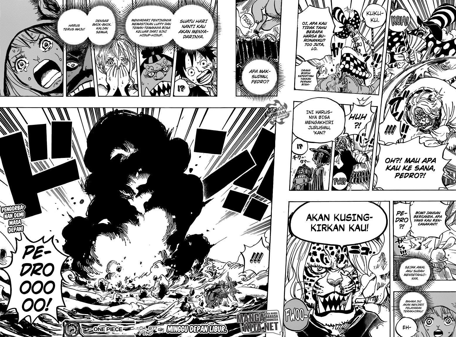 One Piece Chapter 877 Image 15