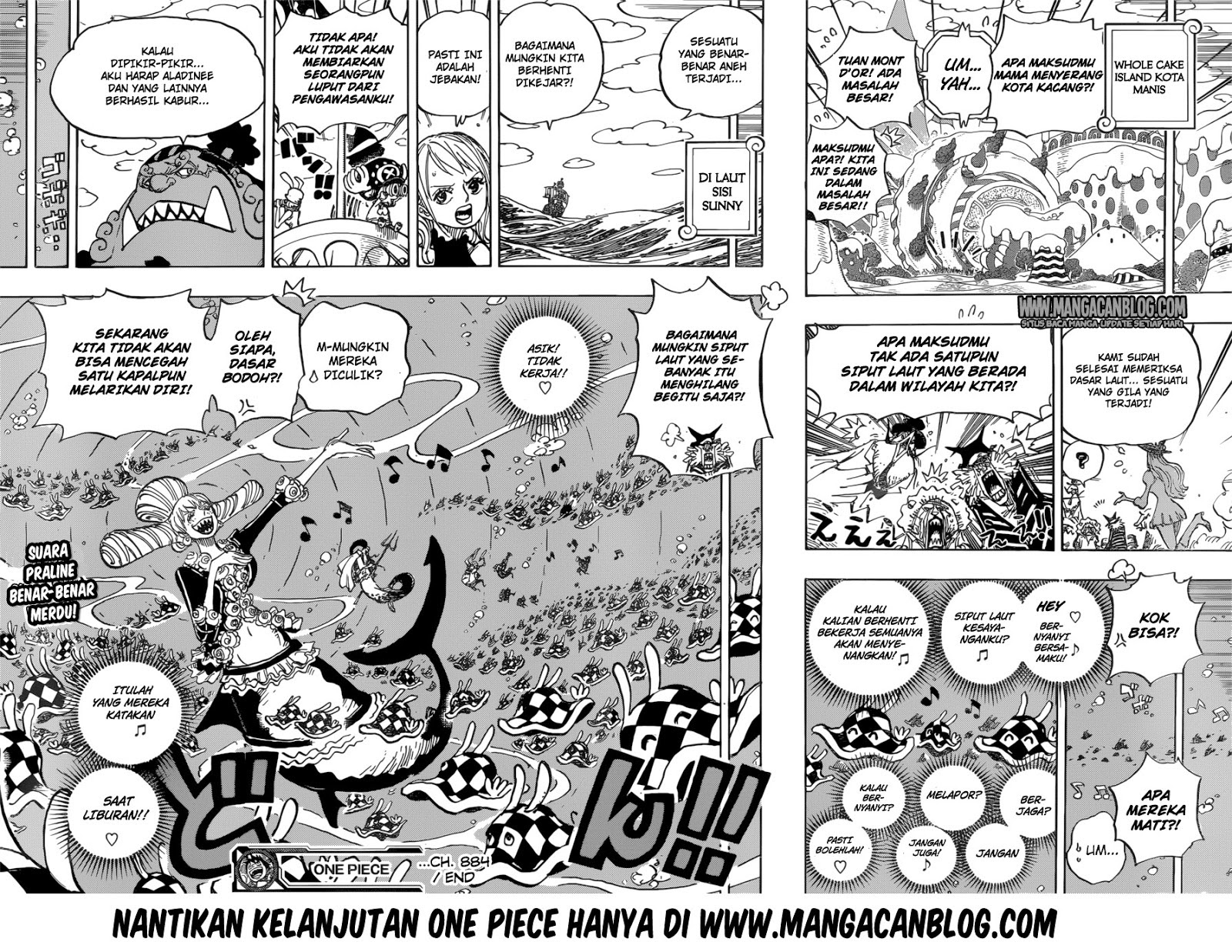 One Piece Chapter 884 Image 17