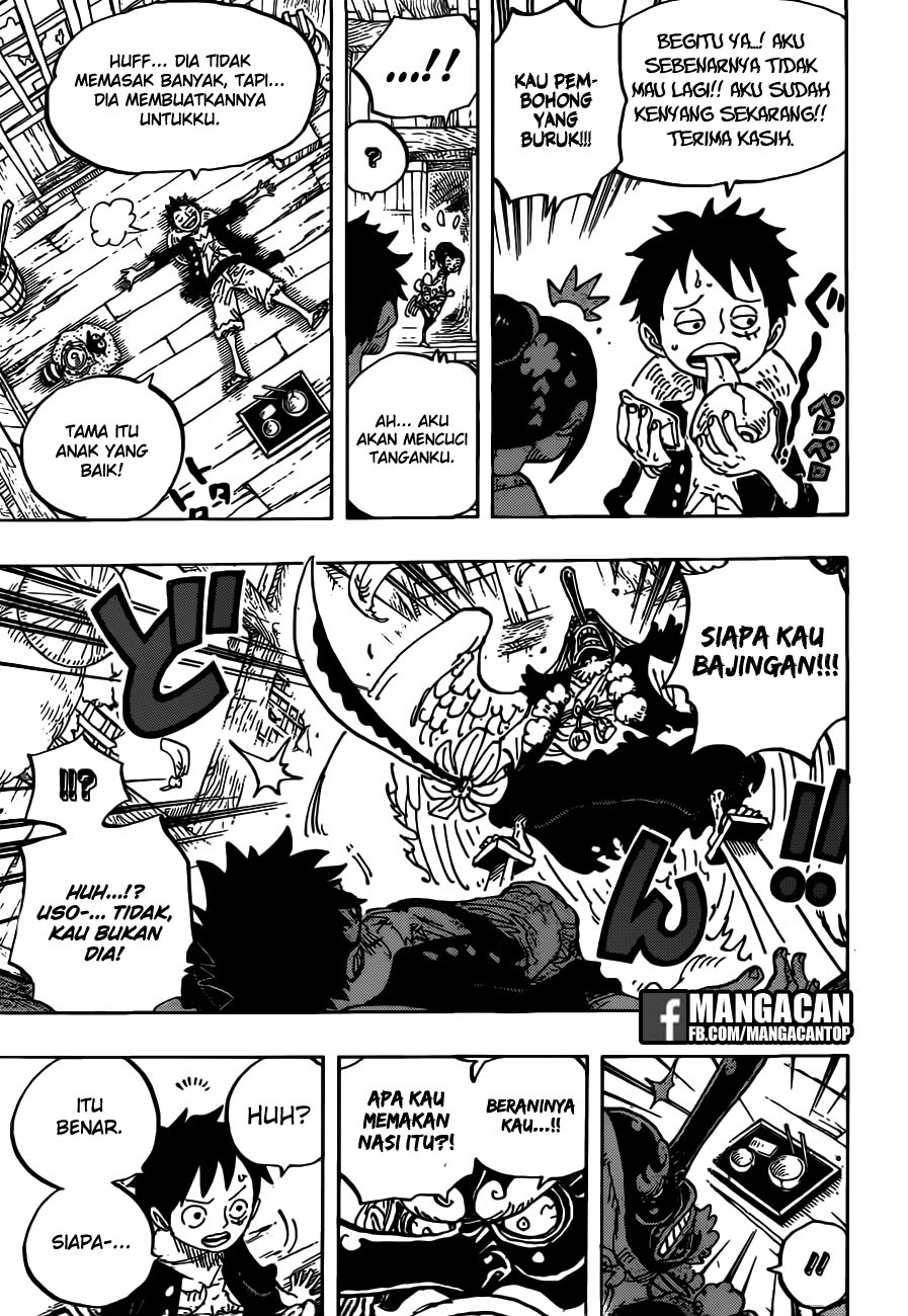 One Piece Chapter 911 Image 14