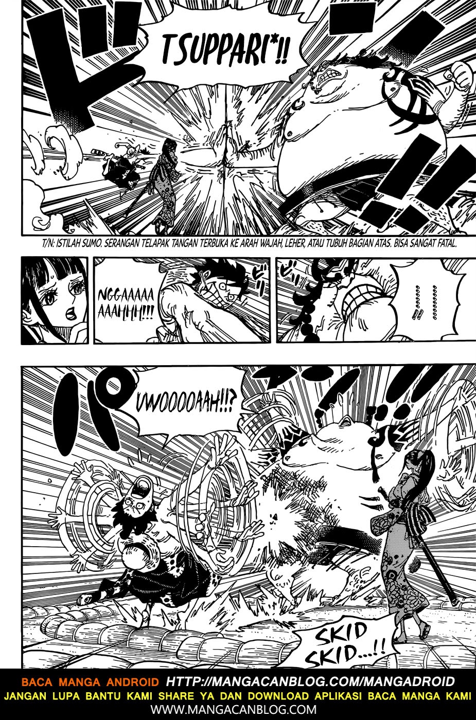 One Piece Chapter 916 Image 8