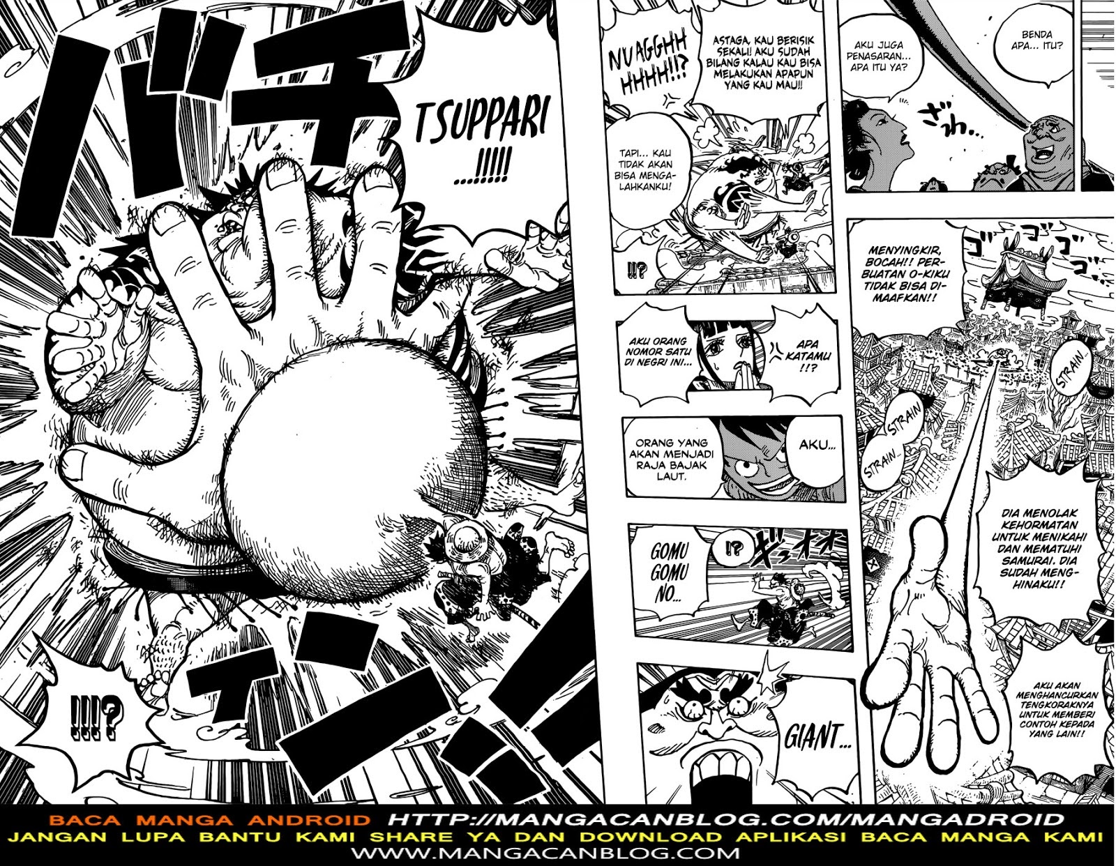 One Piece Chapter 916 Image 14