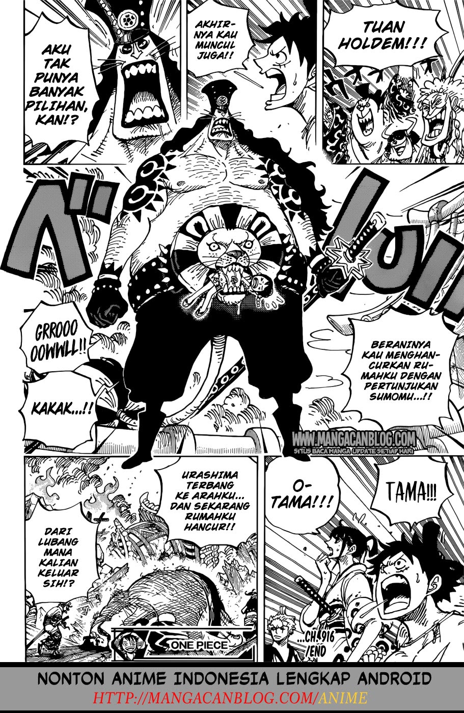 One Piece Chapter 916 Image 19