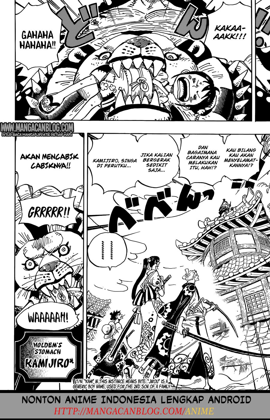 One Piece Chapter 917 Image 5