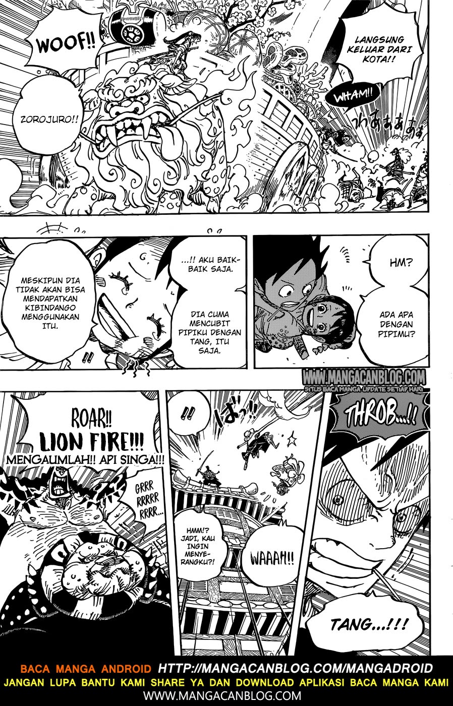 One Piece Chapter 917 Image 14