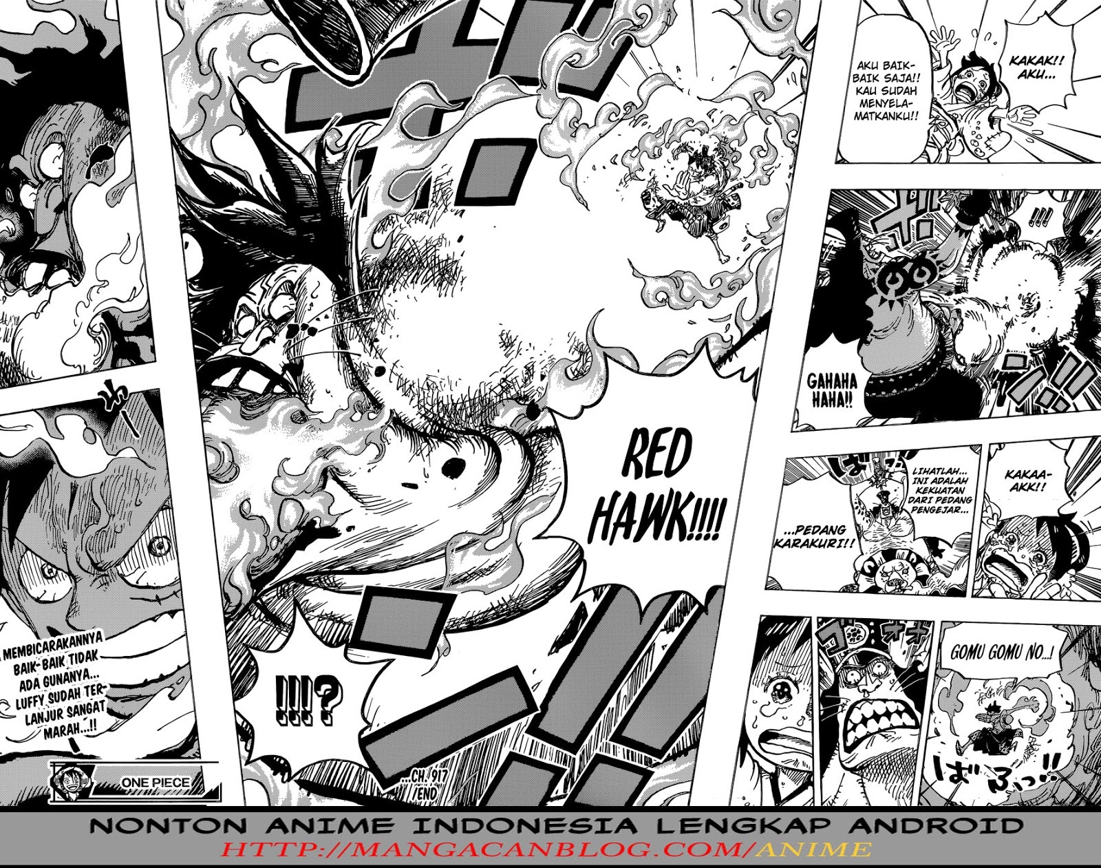 One Piece Chapter 917 Image 15